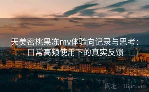 天美密桃果冻mv体验向记录与思考：日常高频使用下的真实反馈