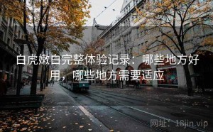 白虎嫩白完整体验记录：哪些地方好用，哪些地方需要适应