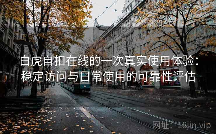 白虎自扣在线的一次真实使用体验：稳定访问与日常使用的可靠性评估