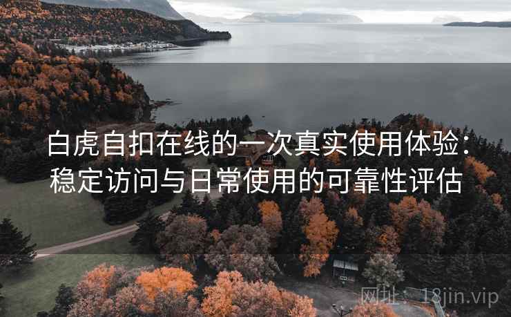 白虎自扣在线的一次真实使用体验：稳定访问与日常使用的可靠性评估