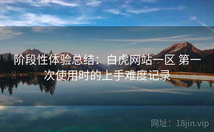 阶段性体验总结:白虎网站一区 第一次使用时的上手难度记录 阶段性体验总结:白虎网站一区 第一次使用时的上手难度记录
