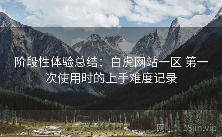 阶段性体验总结:白虎网站一区 第一次使用时的上手难度记录 阶段性体验总结:白虎网站一区 第一次使用时的上手难度记录