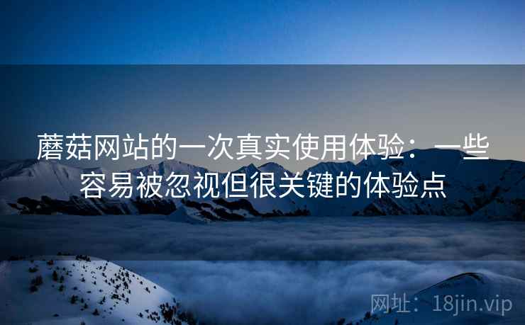 蘑菇网站的一次真实使用体验：一些容易被忽视但很关键的体验点