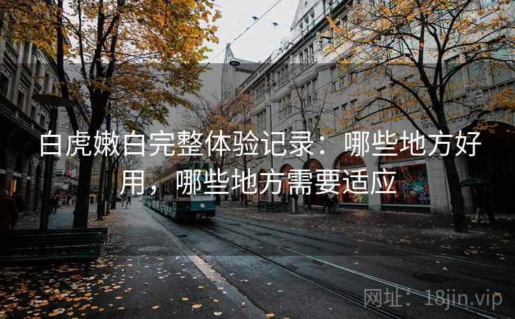 白虎嫩白完整体验记录：哪些地方好用，哪些地方需要适应