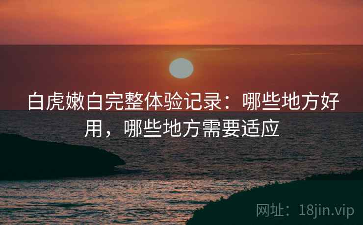 白虎嫩白完整体验记录：哪些地方好用，哪些地方需要适应