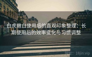 白虎嫩白使用后的直观印象整理：长期使用后的效率变化与习惯调整