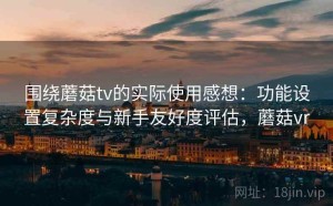 围绕蘑菇tv的实际使用感想：功能设置复杂度与新手友好度评估，蘑菇vr