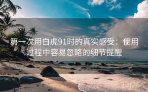 第一次用白虎91时的真实感受：使用过程中容易忽略的细节提醒