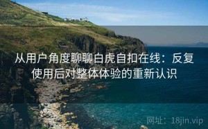 从用户角度聊聊白虎自扣在线：反复使用后对整体体验的重新认识
