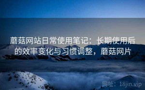 蘑菇网站日常使用笔记：长期使用后的效率变化与习惯调整，蘑菇网片