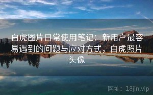 白虎图片日常使用笔记：新用户最容易遇到的问题与应对方式，白虎照片头像