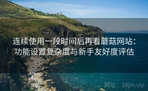 连续使用一段时间后再看蘑菇网站：功能设置复杂度与新手友好度评估