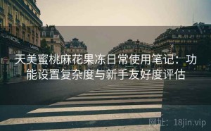 天美蜜桃麻花果冻日常使用笔记：功能设置复杂度与新手友好度评估