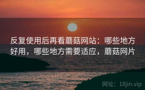 反复使用后再看蘑菇网站：哪些地方好用，哪些地方需要适应，蘑菇网片