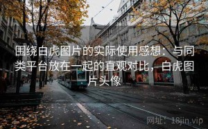 围绕白虎图片的实际使用感想：与同类平台放在一起的直观对比，白虎图片头像