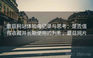 蘑菇网站体验向记录与思考：是否值得收藏并长期使用的判断，蘑菇网片