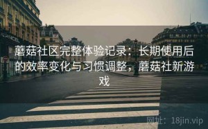 蘑菇社区完整体验记录：长期使用后的效率变化与习惯调整，蘑菇社新游戏