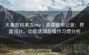 天美密桃果冻mv｜真实使用记录：界面设计、功能逻辑与操作习惯分析