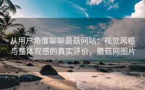 从用户角度聊聊蘑菇网站：视觉风格与整体观感的真实评价，蘑菇网图片