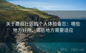 关于蘑菇社区的个人体验备忘：哪些地方好用，哪些地方需要适应