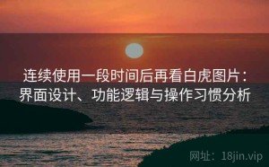 连续使用一段时间后再看白虎图片：界面设计、功能逻辑与操作习惯分析