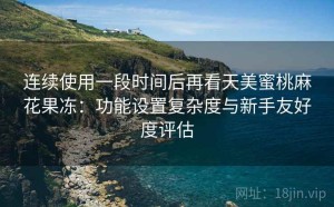 连续使用一段时间后再看天美蜜桃麻花果冻：功能设置复杂度与新手友好度评估