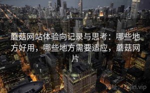 蘑菇网站体验向记录与思考：哪些地方好用，哪些地方需要适应，蘑菇网片