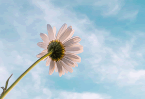 围绕蘑菇tv的实际使用感想：一些容易被忽视但很关键的体验点，蘑菇剧场不能看了