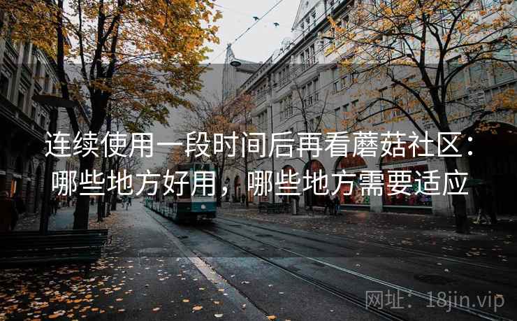 连续使用一段时间后再看蘑菇社区：哪些地方好用，哪些地方需要适应