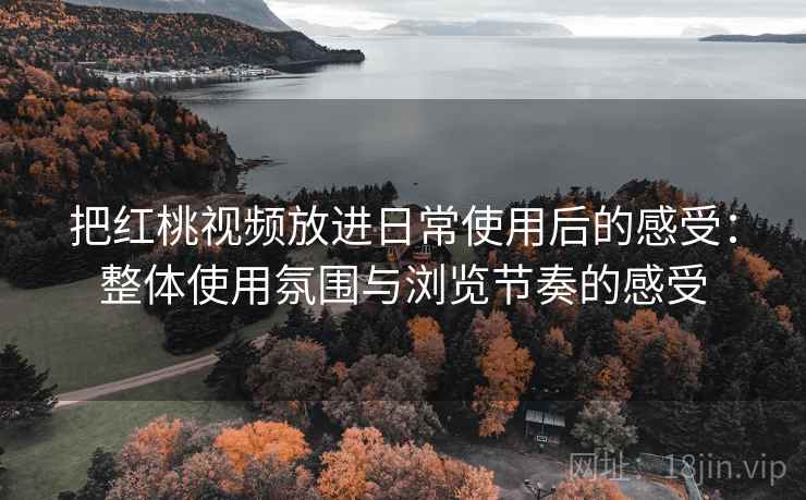 把红桃视频放进日常使用后的感受：整体使用氛围与浏览节奏的感受