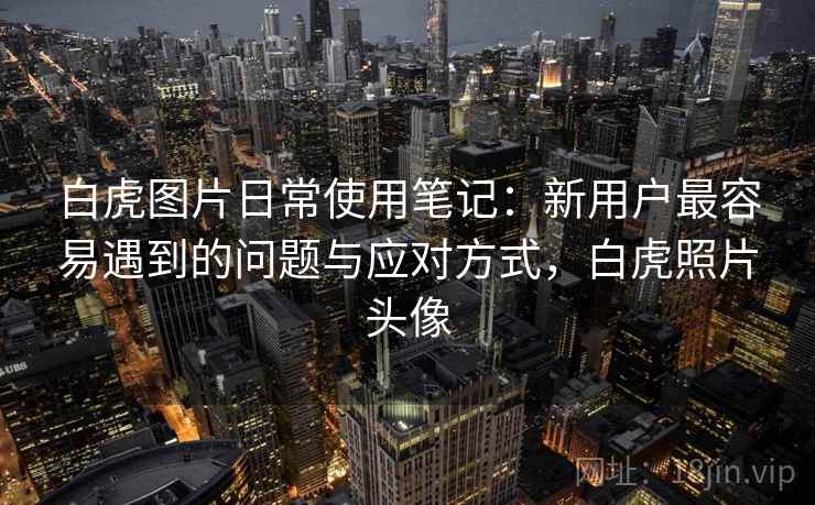 白虎图片日常使用笔记：新用户最容易遇到的问题与应对方式，白虎照片头像
