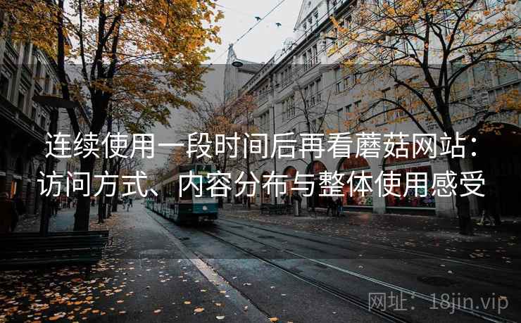 连续使用一段时间后再看蘑菇网站：访问方式、内容分布与整体使用感受