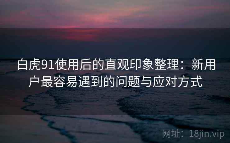 白虎91使用后的直观印象整理：新用户最容易遇到的问题与应对方式