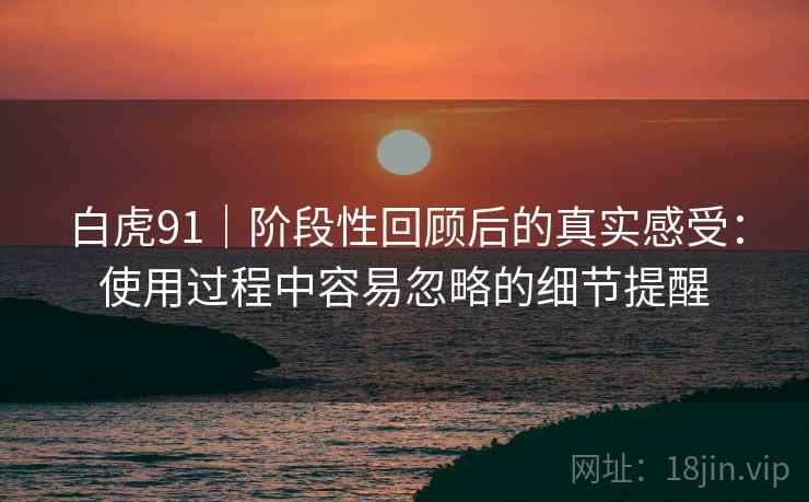 白虎91｜阶段性回顾后的真实感受：使用过程中容易忽略的细节提醒