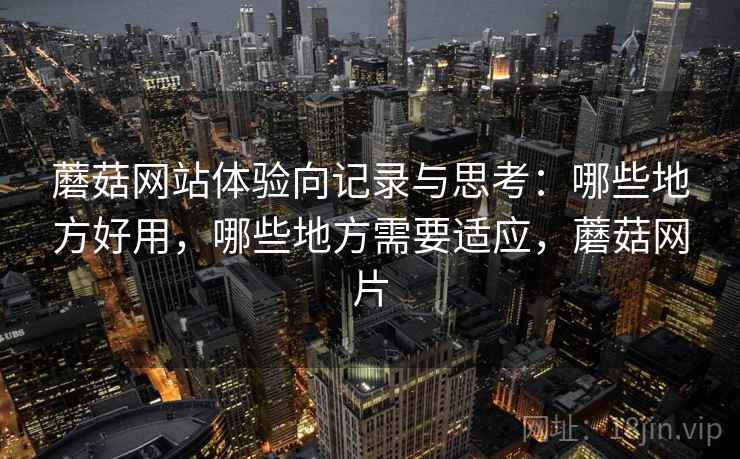 蘑菇网站体验向记录与思考：哪些地方好用，哪些地方需要适应，蘑菇网片