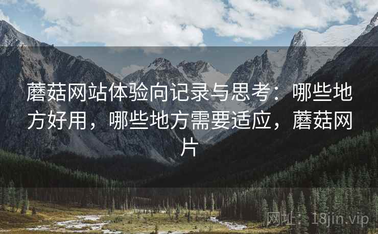 蘑菇网站体验向记录与思考：哪些地方好用，哪些地方需要适应，蘑菇网片